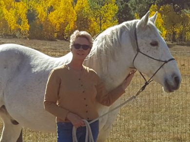 Gus – ADOPTED