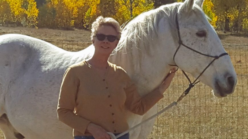 Gus – ADOPTED